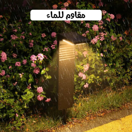 س