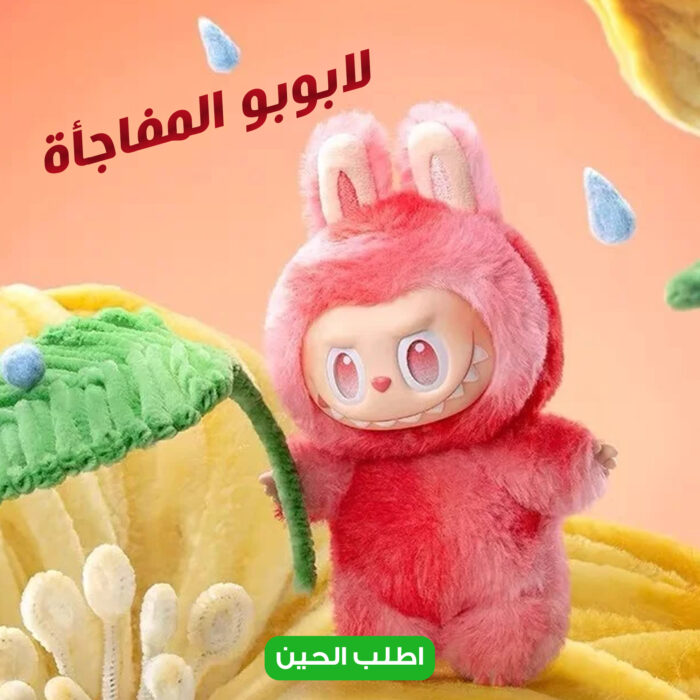 ⁦⁩ - الصورة ⁦5⁩