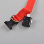 ⁦طوق مضيء للحيوانات الأليفة⁩ - الصورة ⁦7⁩